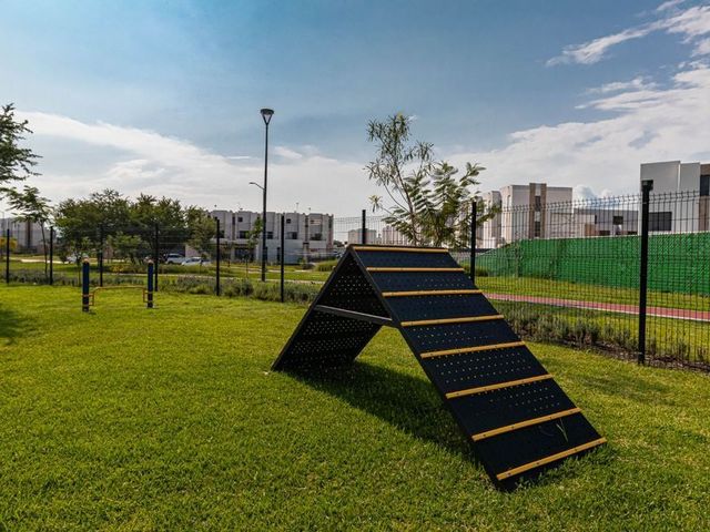 place photo 36