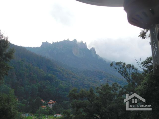 place photo 35