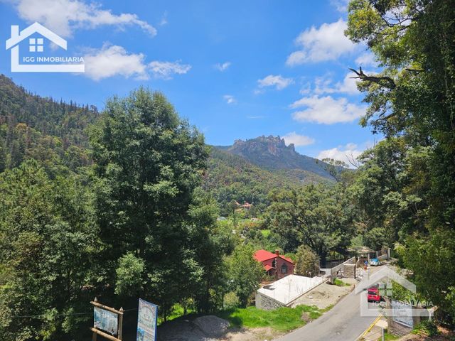 place photo 32