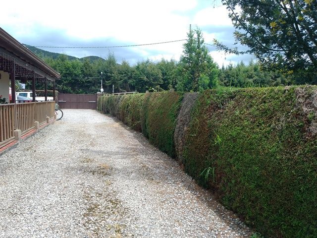 place photo 26