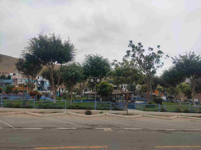 place photo 20