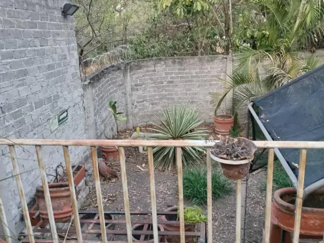place photo 16