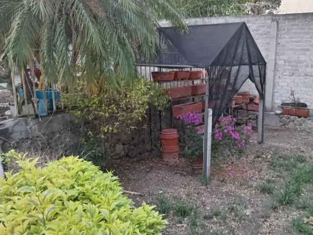 place photo 31