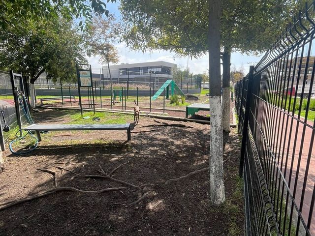 place photo 15
