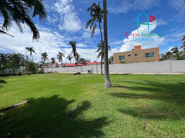 place photo 22