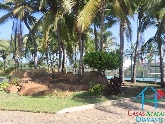 place photo 42