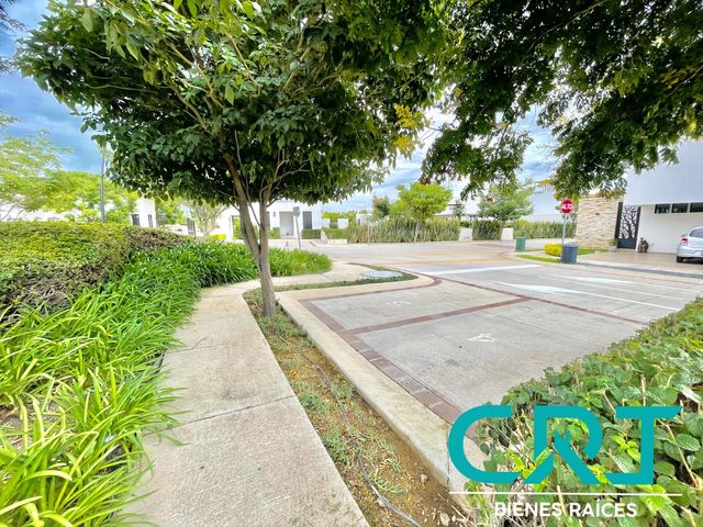 place photo 41