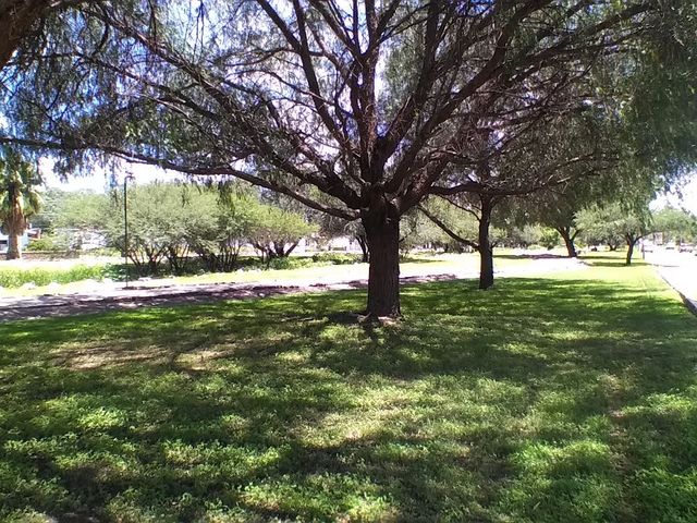 place photo 31