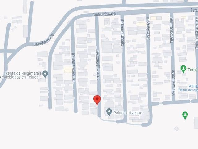 place photo 9