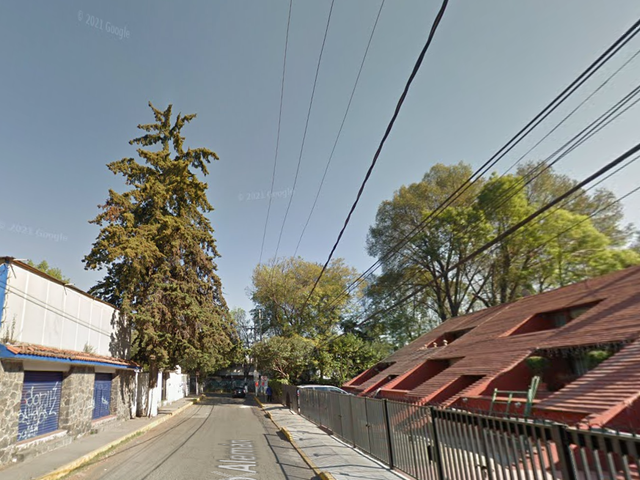 place photo 7