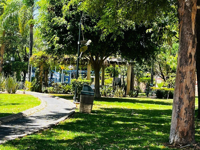 place photo 7
