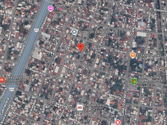 place photo 7