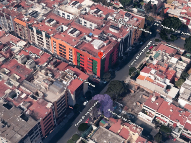 place photo 10
