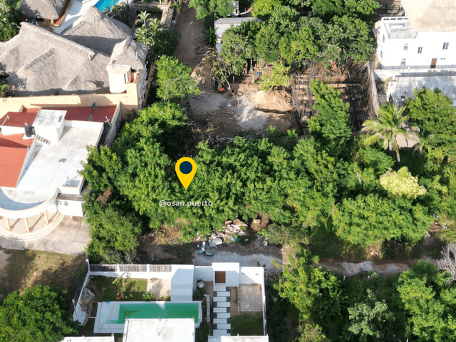 place photo 11