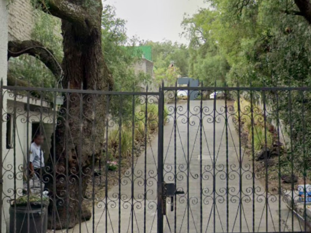 place photo 11