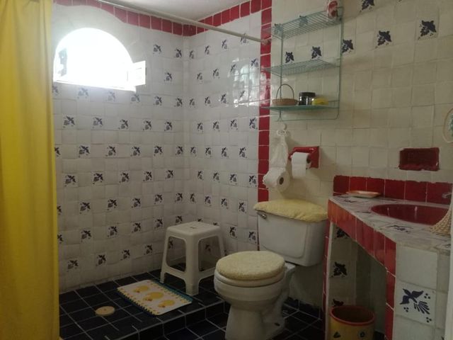 place photo 20