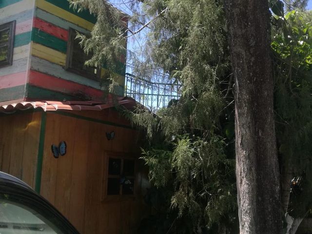 place photo 29