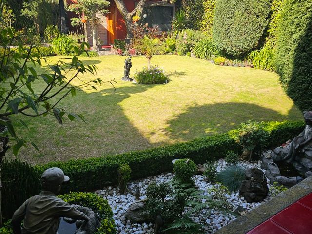 place photo 19