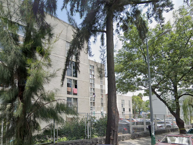 place photo 16