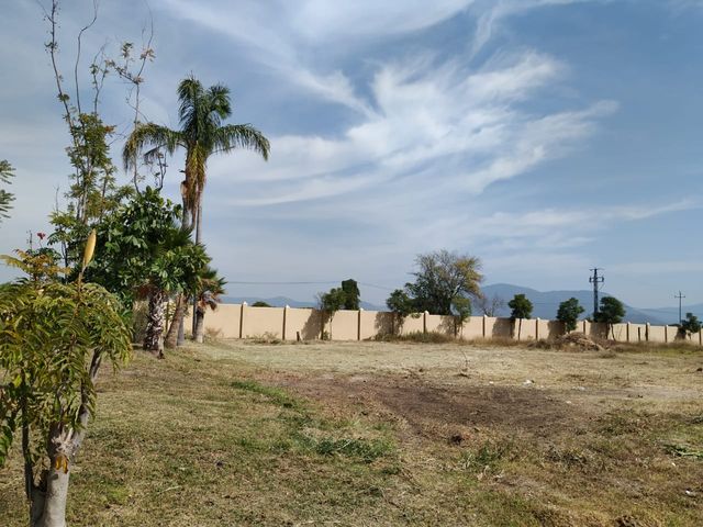 place photo 20
