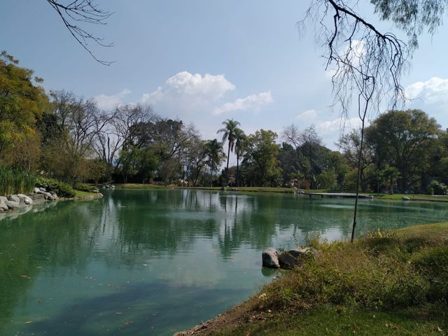 place photo 26
