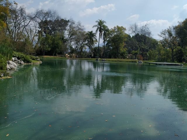 place photo 37
