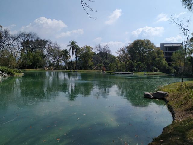 place photo 39