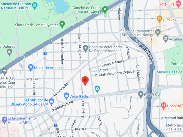 place photo 13