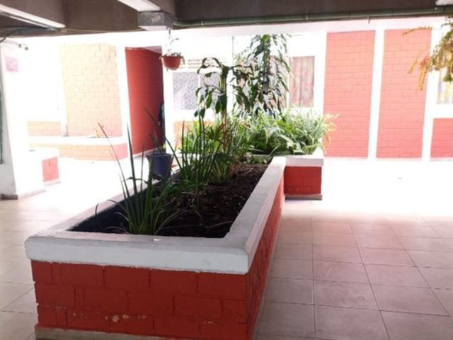 place photo 15