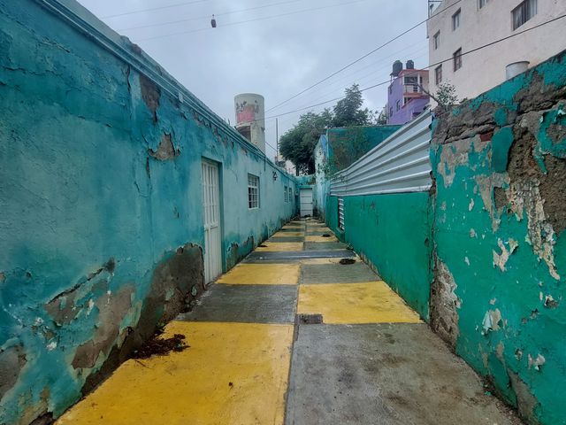 place photo 16