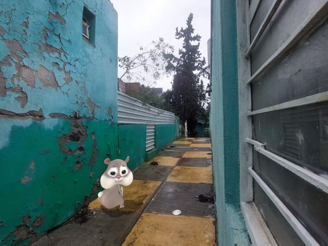 place photo 23