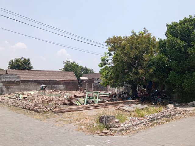 place photo 3