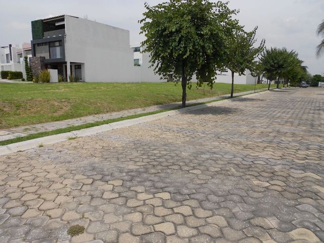 place photo 22