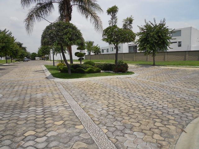 place photo 16