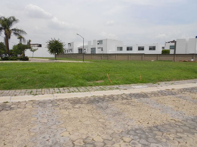 place photo 19