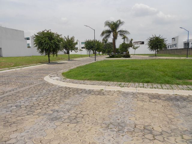 place photo 20