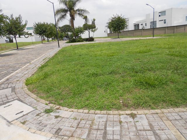 place photo 21