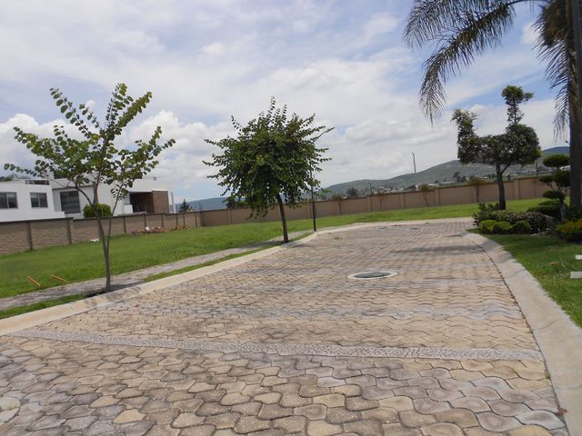 place photo 27