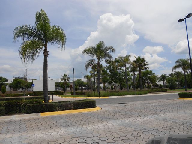 place photo 23