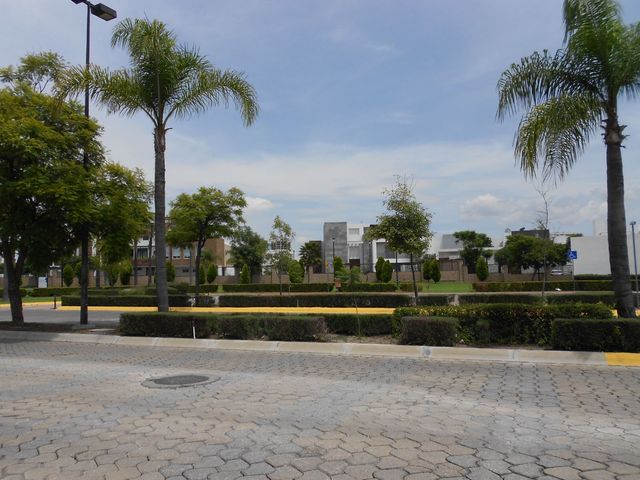place photo 24