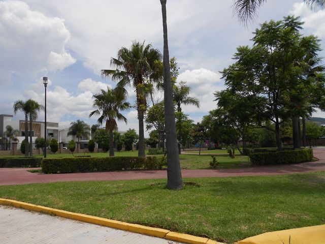 place photo 25