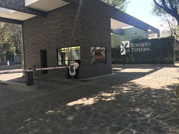 place photo 32