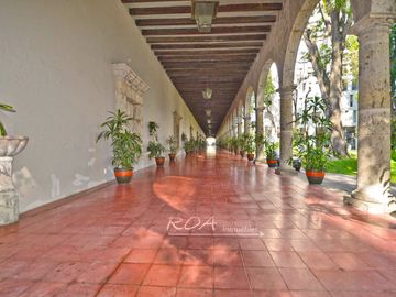 place photo 14