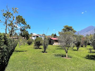 place photo 35