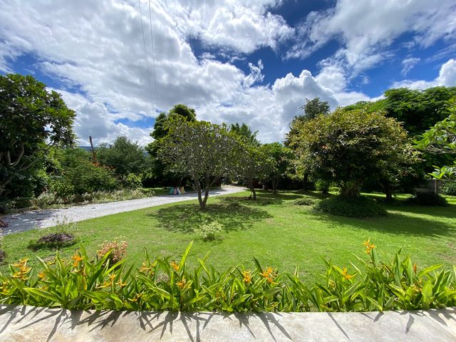 place photo 64