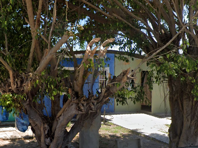 place photo 3