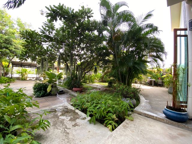 place photo 44