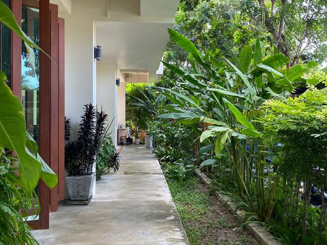 place photo 45