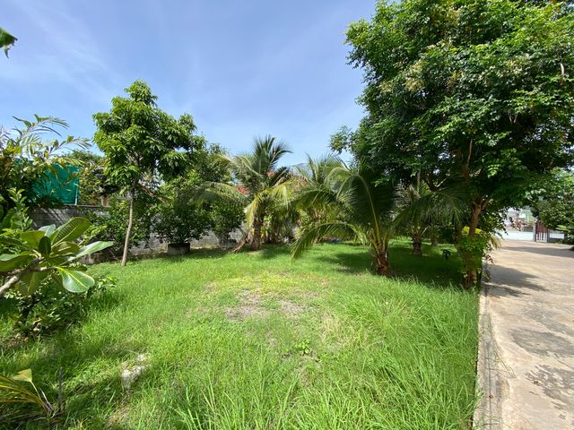 place photo 51