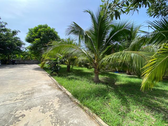 place photo 52